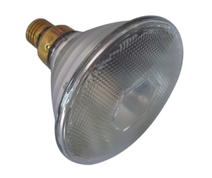 PAR38 Halogen lamp 