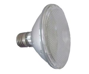 PAR30 Halogen lamp 