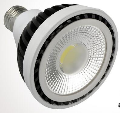 COB LED PAR30 LAMP