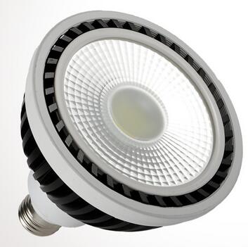 COB LED PAR38 LAMP