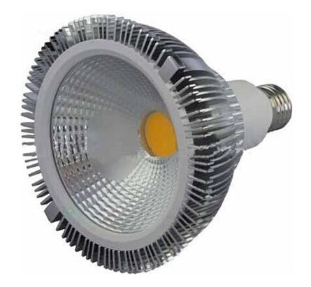 COB LED PAR38 LAMP